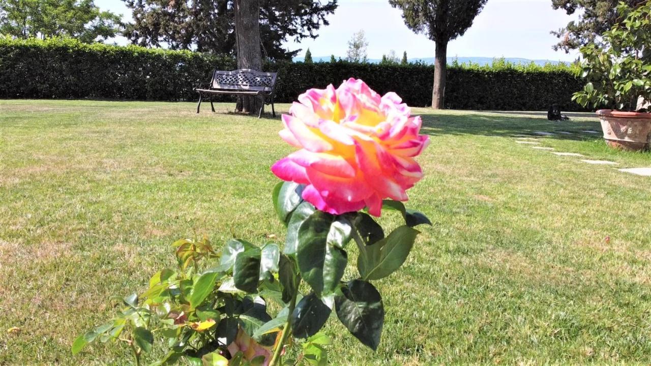 Tenuta Barbadoro Agriturismo Apartment Montespertoli Εξωτερικό φωτογραφία