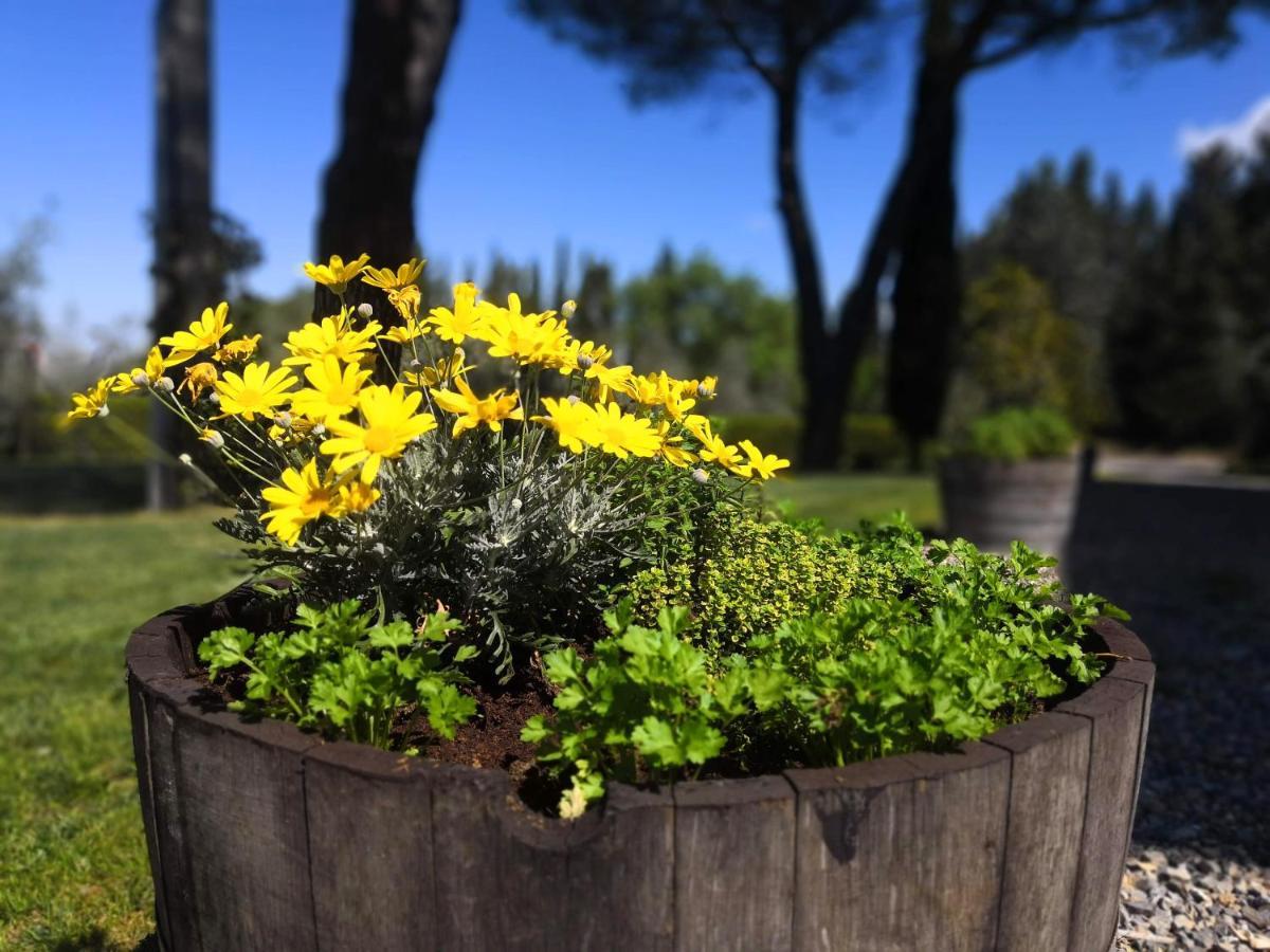 Tenuta Barbadoro Agriturismo Apartment Montespertoli Εξωτερικό φωτογραφία